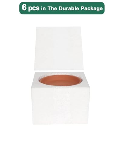 8 Inch Terracotta Pot Saucer