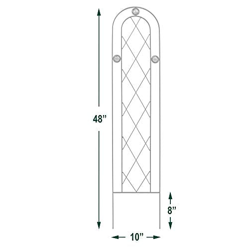 TR01 4' x 10" Arched Garden Trellis