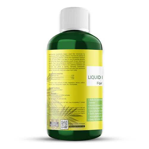 Organic Premium Kelp Seaweed Fertilizer (16 Fl Oz)