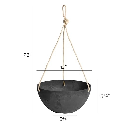Self Watering Hanging Planter for Indoor or Outdoor Plants