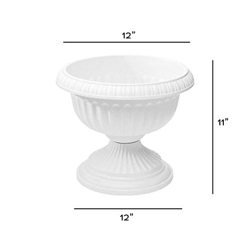 Root & Vessel (12-Inch / White)