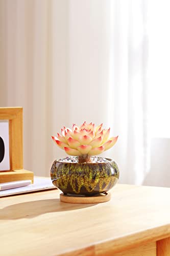 Cute Ceramic Succulent Garden Pots (5 Count)