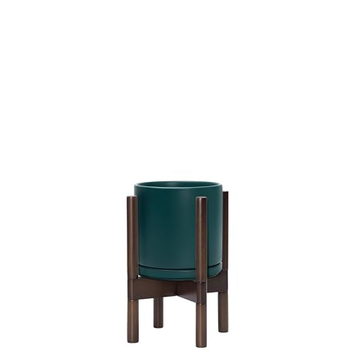 Ceramic Pot with Walnut Wood Stand