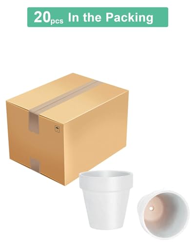 3 Inch White Terracotta & Clay Pot with Drainage