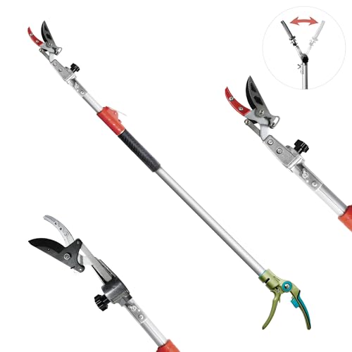 Pruner for Garden