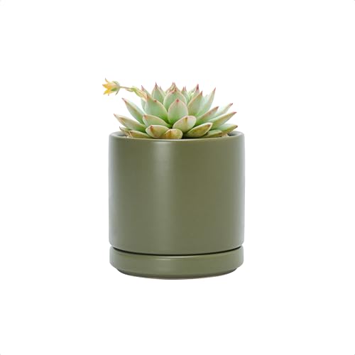 3.5 Inch Ceramic Planter Pot