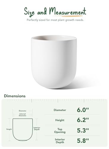 6 Inch Ceramic Plant Pot (White / 6 Inch)