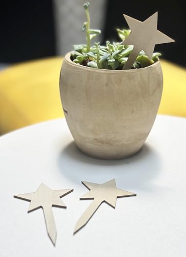 100 Pcs Wood Plant Labels (Star)