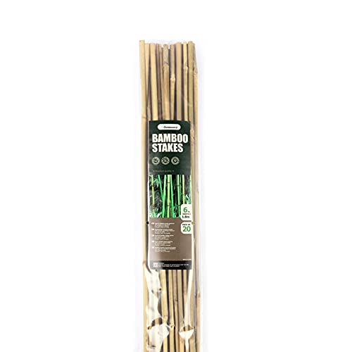 Bamboo Stakes 6 Feet (20 Count)