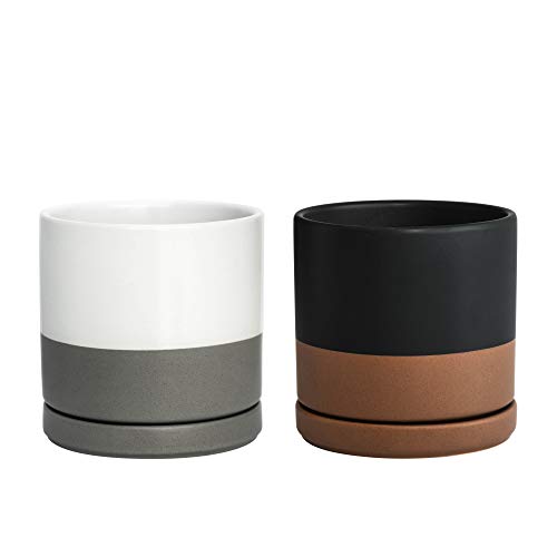Set of 2 Plants Pots (2 Count)