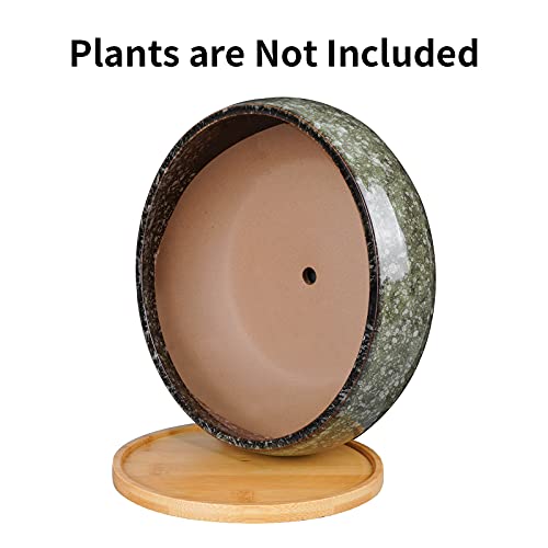 8 Inch Ceramic Bonsai Planter Pot