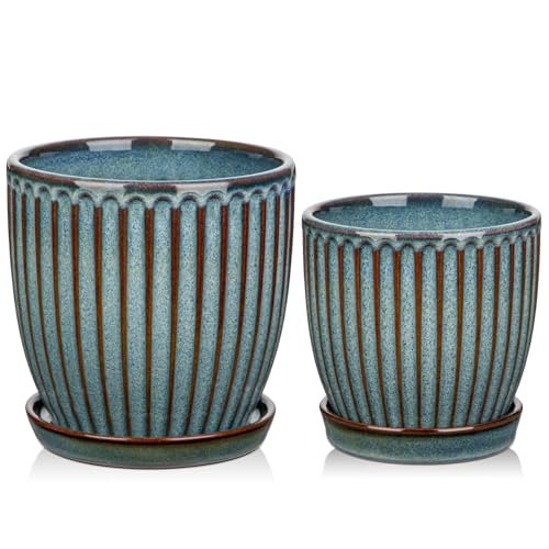Ceramic Pots for Indoor Plants