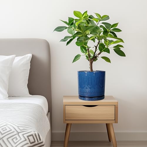 6 Inch Plant Pot