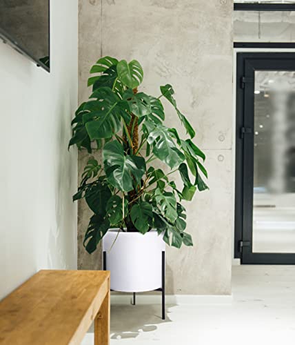 Modern White Plants Pot Cylinder Planter with Heavy Duty Stand
