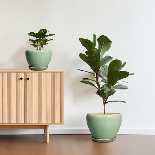 Ceramic Pots for Plants (3 Count)