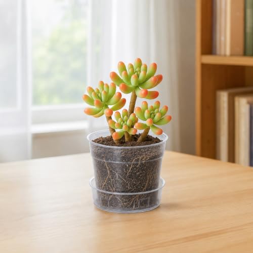 3 Inch Clear Plastic Plant Pot with Drainage Holes (3" x 2.5")