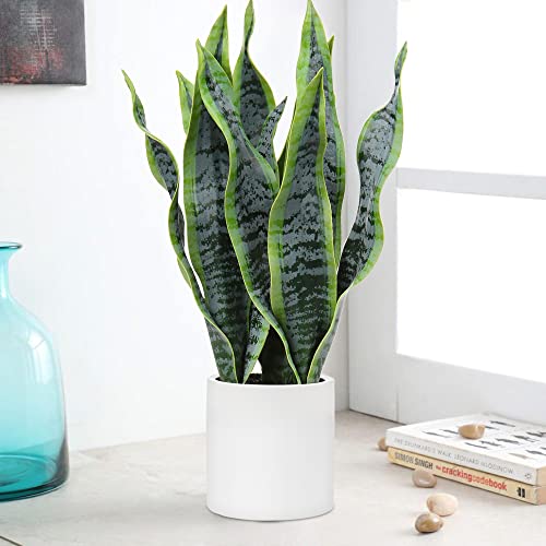 Artificial Snake Plant Potted with Solid Wood Plant Stand
