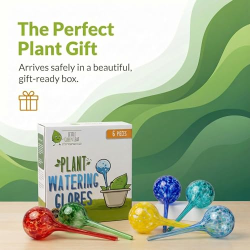 Large Plant Watering Globes 6 Pack (6 Count)