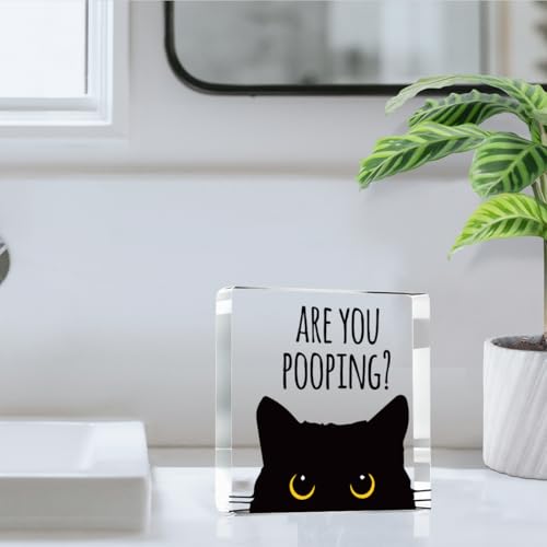 Are You Pooping Funny Sign