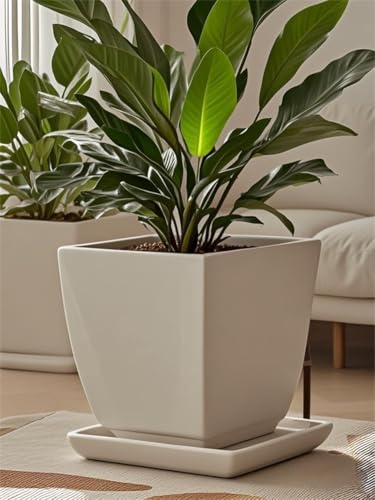 Square Ceramic Plant Saucer Tray 12 13 14 Inch White