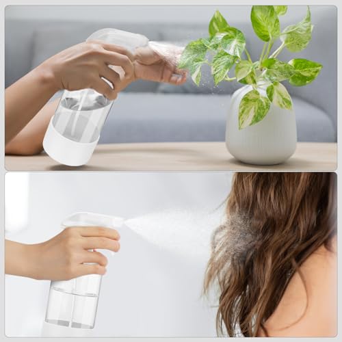 Glass Spray Bottles (2 Count)