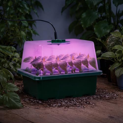 Seed Starter Trays with 12 (5 Count)