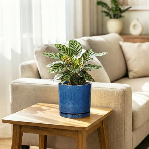 Ceramic Plant Saucer (5.6 Inch / Blue)