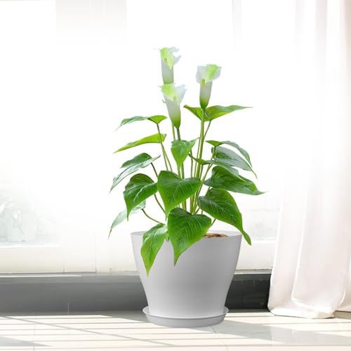 6 inch Plastic Nursery Pots (16 Count)