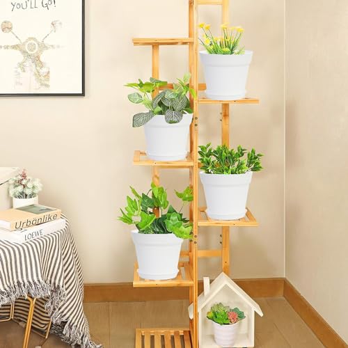 20 Pack 6 inch Plant pots (20 Count)