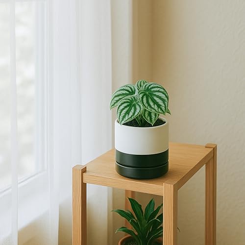 4.7 Inch Ceramic Planter Pot