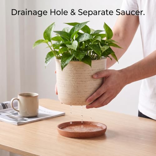 8 Inch Ceramic Plant Pot with Drainage Hole & Separate Saucer (Brush Color / 8 inch)