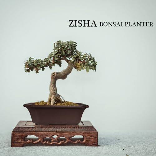 2 Pack 8" Unglazed Ceramic Bonsai Tree Pot Training Planter with Drainage Wiring Hole (2Pcs 8" Rectangle)