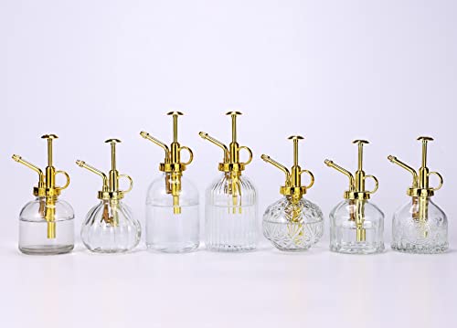 Glass Plant Mister Spray Bottle