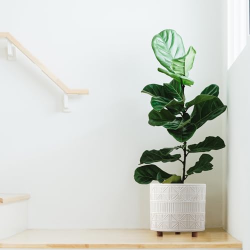 Ceramic Plant Pot with Foots