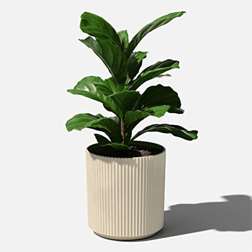 Round Demi Planter Pots for Indoor