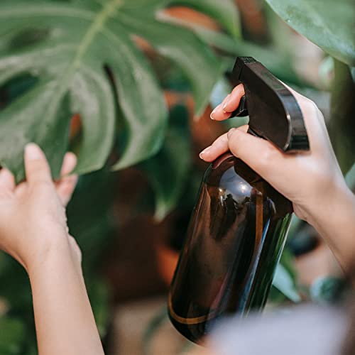 Amber Glass Spray Bottles