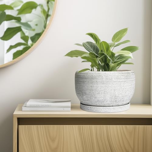 Ceramic Flower Pots