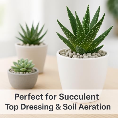 Horticultural Pumice for Plants