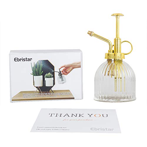 Glass Plant Mister Spray Bottle