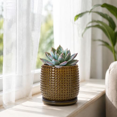 Beaded Ceramic Pot with Saucer (4.3 Inch / Olive Bronze)