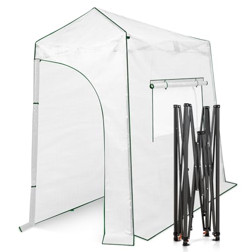 9x4 Easy Setup Pop Up Greenhouse (Clear/White / 9x4)