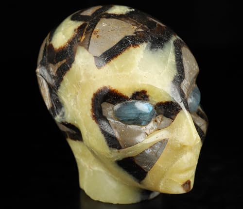 3.5" Dragon Septarian Stone Hand Carved Fairy Elf Alien Crystal Skull Companion with Eyes (Skullis 3.5" Dragon Septarian Stone 81)