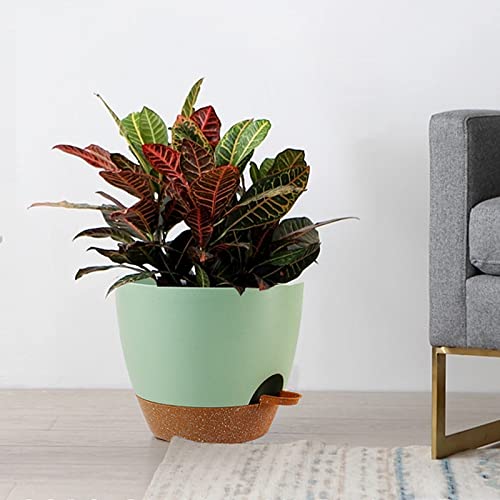 Large Self Watering Pots
