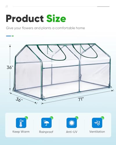 Mini Greenhouse for Indoor Outdoor (212.56 Sq Ft)