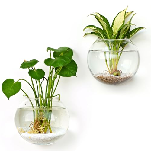 Set of 2 Wall Vases