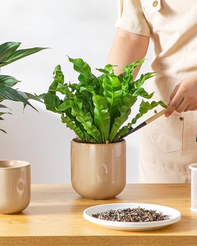 Ceramic Plant Pots (3 Count)