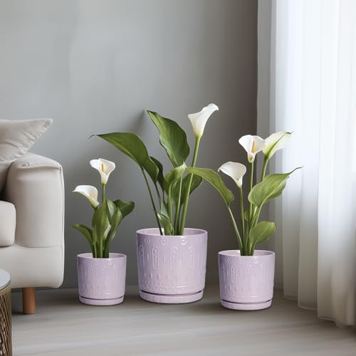 Ceramic Flower Pots (8 Inch / Purple)