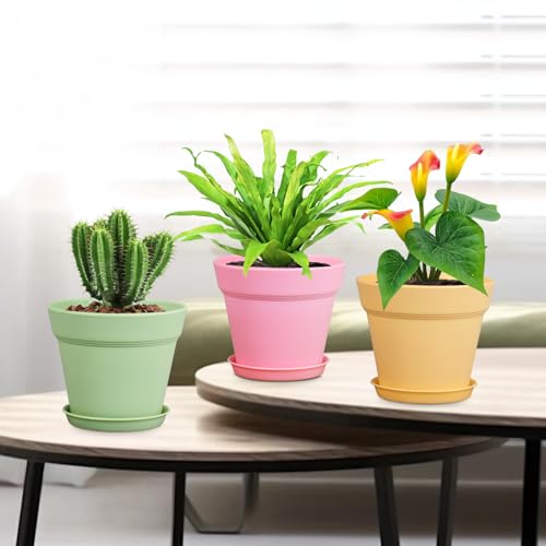 4 inch Small Plastic Nursery Pots (16 Count)
