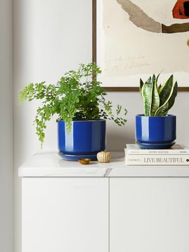 Ceramic Pots for Plants (3 Count)