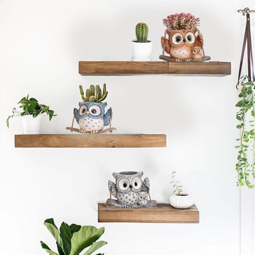 Swing Owl Hanging Planters for Indoor Plants